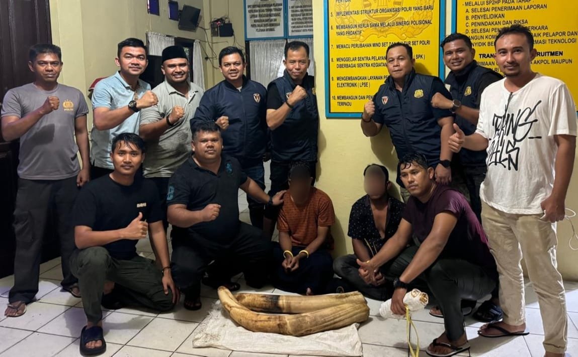 Kedapatan Bawa Gading Gajah, Dua Warga Pidie Diringkus Polisi